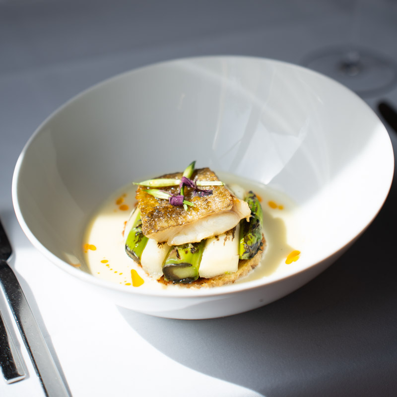Food Fotografie Fischgericht — Gastronomie Content Karlsruhe